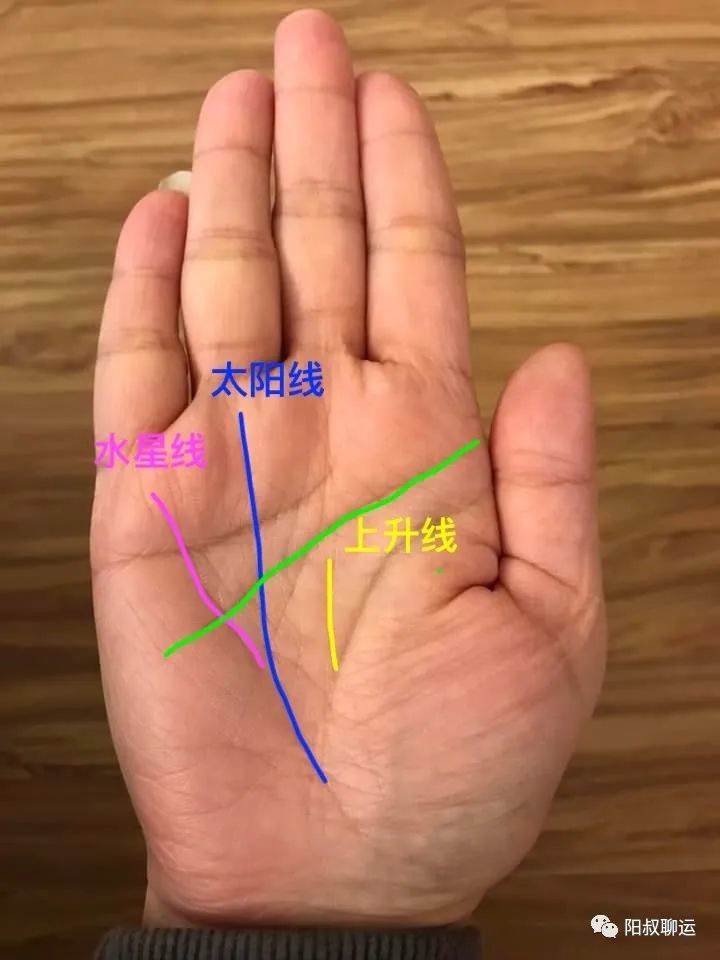 很会做生意的手相发大财不在话下更多的是德高望重