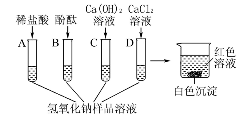 再向4支试管中分别加入稀盐酸(足量,酚酞试液,氢氧化钙溶液,氯化钙