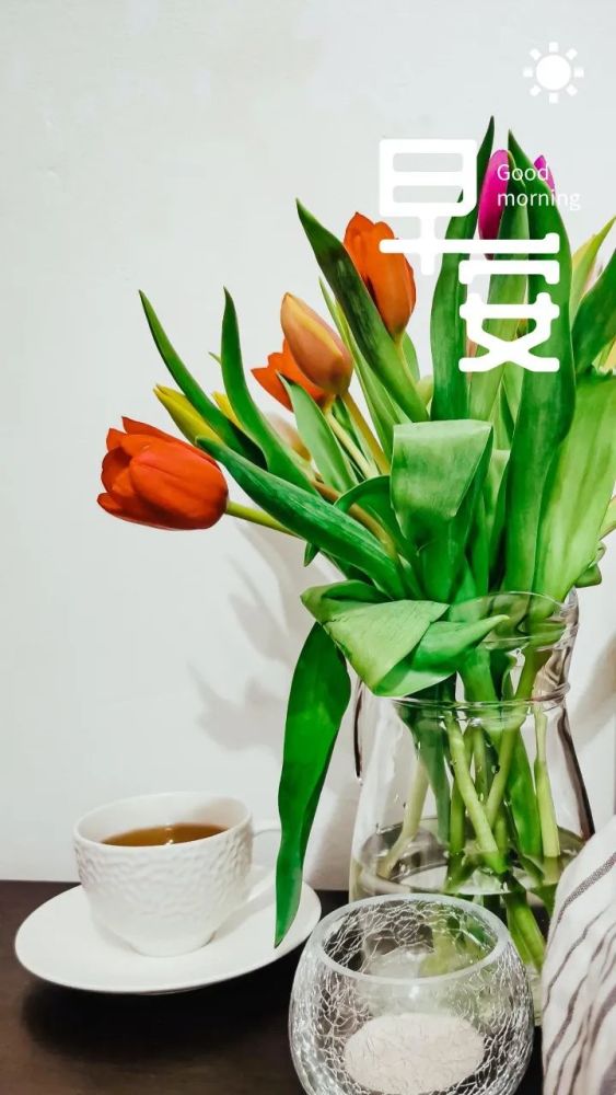 正能量向上早安语录图片句子