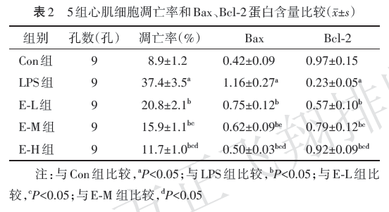 依托咪酯通过调控mir2143ptbl1xr1分子轴抑制脂多糖诱导心肌细胞炎症