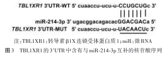 依托咪酯通过调控mir2143ptbl1xr1分子轴抑制脂多糖诱导心肌细胞炎症