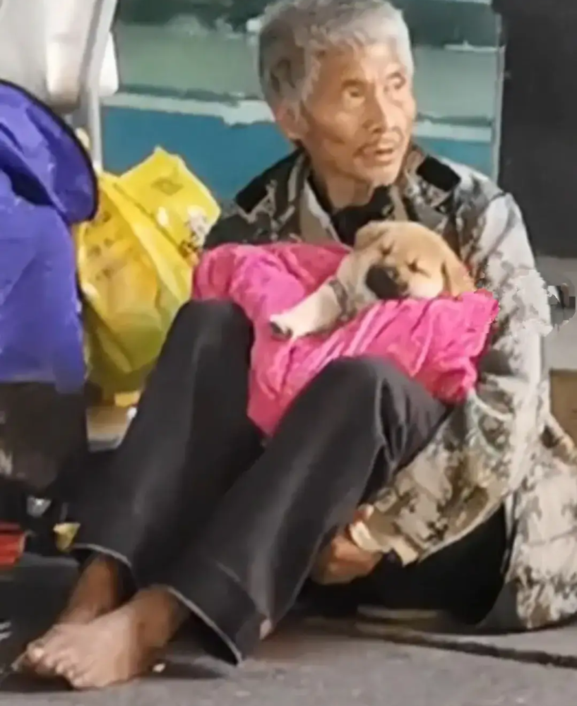 一流浪老人寒风中自己光脚,把毯子留给狗狗取暖,真是深度诠释了"流浪