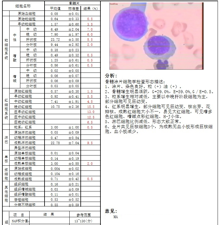 如下图:外周血细胞形态和骨髓细胞形态:贫血五项报告:血常规报告:生化
