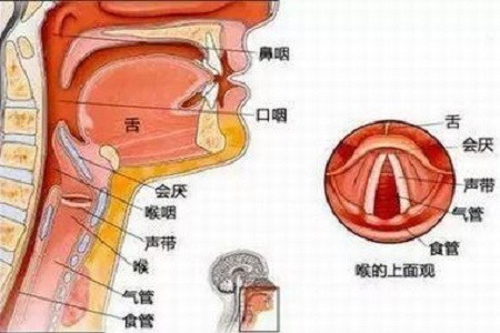 咽喉息肉一定要手术切除吗