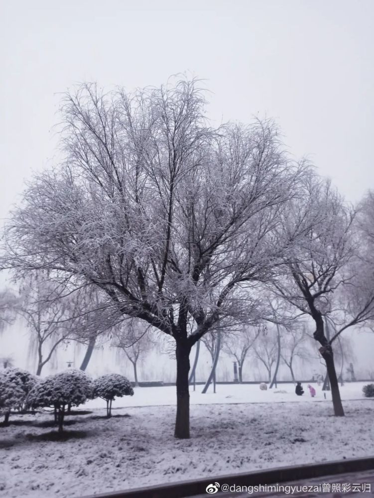 2022洛阳第一场雪刷屏啦