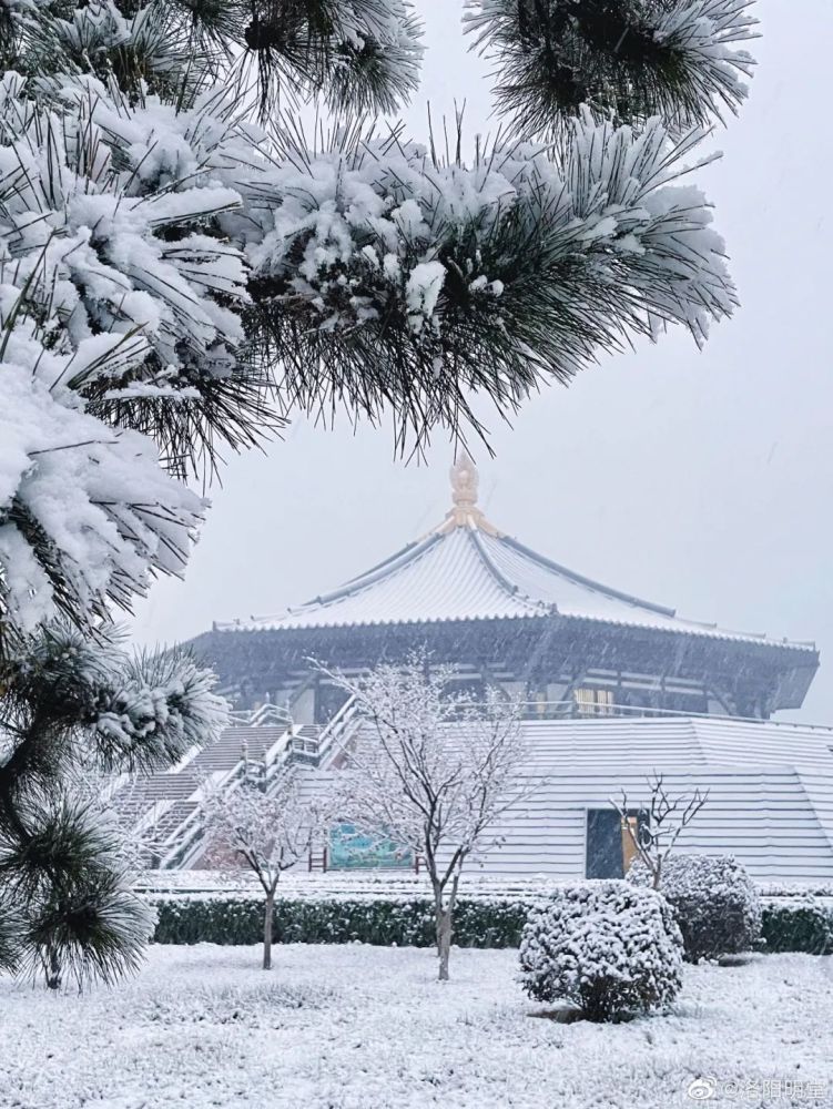 2022洛阳第一场雪刷屏啦