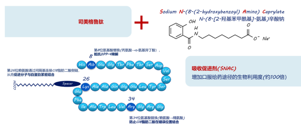 遵循证据破旧立新司美格鲁肽新证来袭