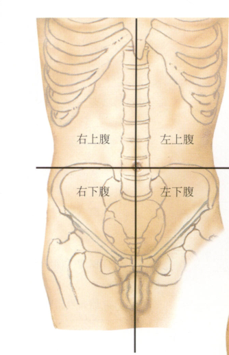 弓状线(脐和耻骨联合连线中点,约脐下4-5cm 处),腹内斜肌和腹横肌腱膜