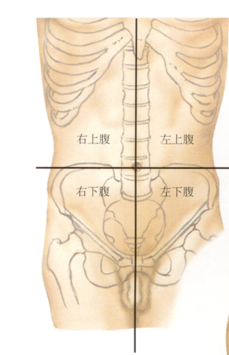 弓状线(脐和耻骨联合连线中点,约脐下4-5cm 处,腹内斜肌和腹横肌腱膜