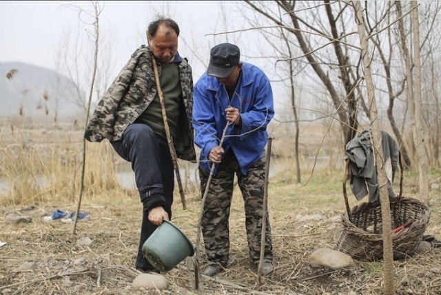 一个无臂,一个失明,2014年曾感动河北的种树兄弟,如今分开了