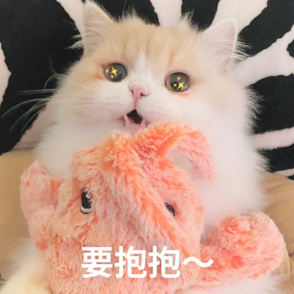 猫猫表情包想要贴贴