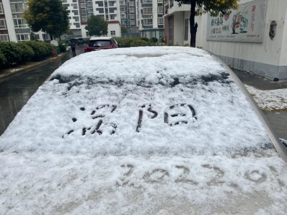 涡阳下雪2022第一场雪来了快来看呀