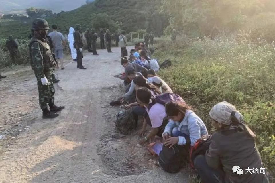 30名缅北偷渡客花高价给蛇头寻找跨境务工机会刚入境就被抓获