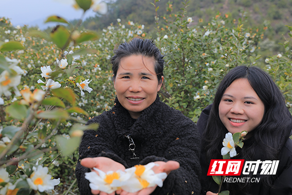 临武13载坚守荒山变宝山母女接力促乡村振兴