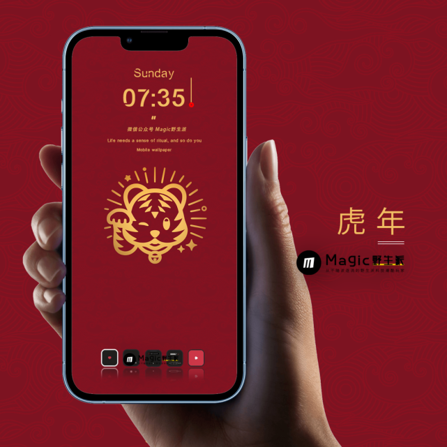 24张壁纸wallpaper丨虎虎生威