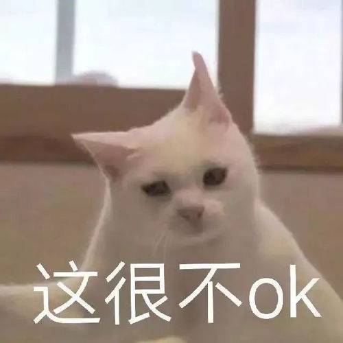 可爱猫咪表情包无语子