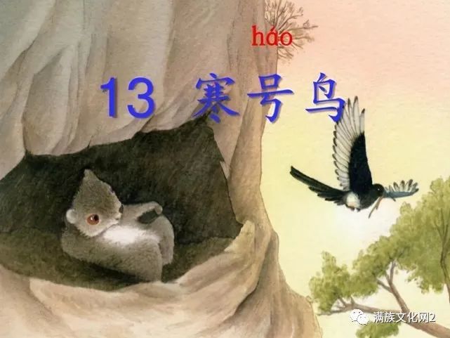 小寒节气到,山中寒号鸟叫为什么小寒"会冷呢?