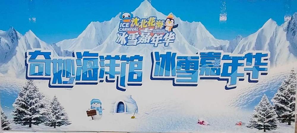 迎冬奥辽宁百万青少年上冰雪公益活动暨沈北花海冰雪嘉年华活动,不仅