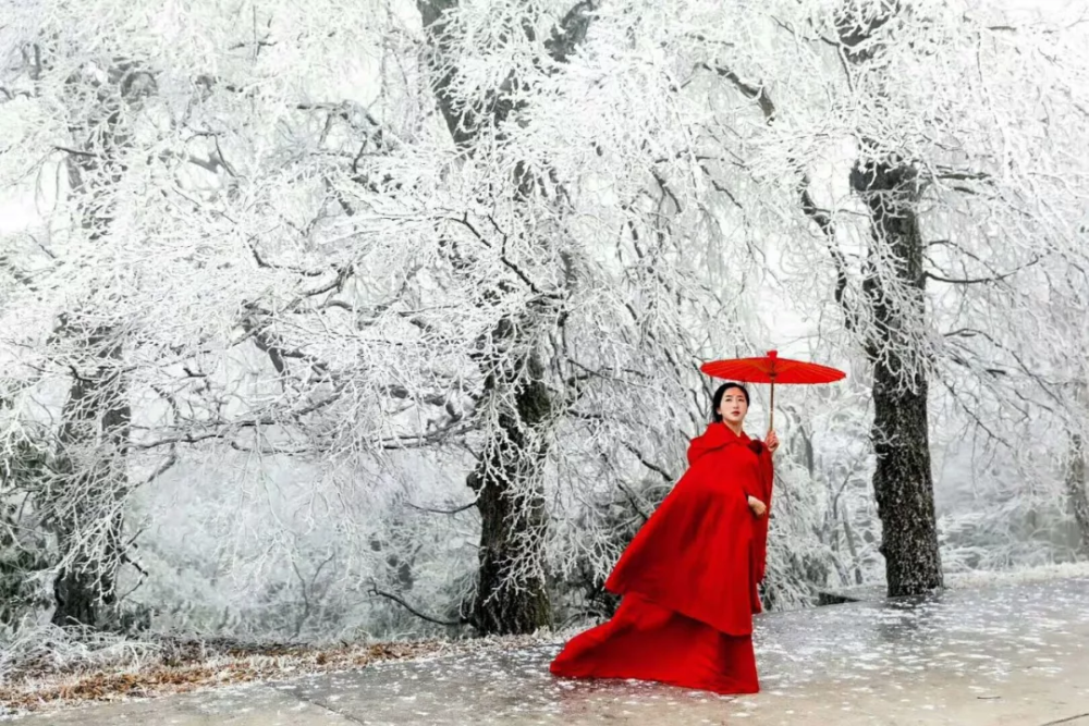 美阳明山红衣女又火啦