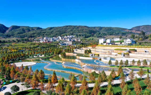 冬日,弥勒市晴空万里,暖阳下的甸溪湿地多姿多彩,五彩云池的梯田景观