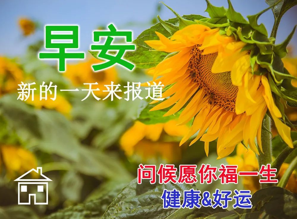 问候大家早上好动图表情2022清晨祝福早上好问候语温馨语录