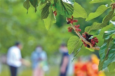 高德平台注册开户_昆山人才热线