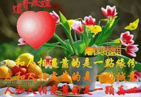 10张漂亮清新动图创意会动祝福语表情包动图甜美愉快表情包祝福语问候