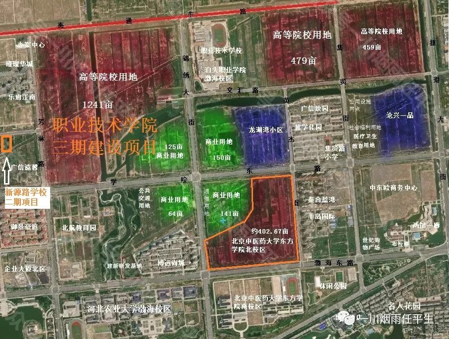 新城卫生院小学黄骅新城起步区2021年基础设施建设谋划二公共服务设施