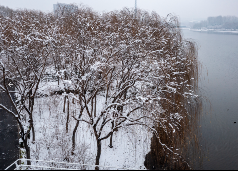 瑞雪兆丰年郑州雪景这边独好