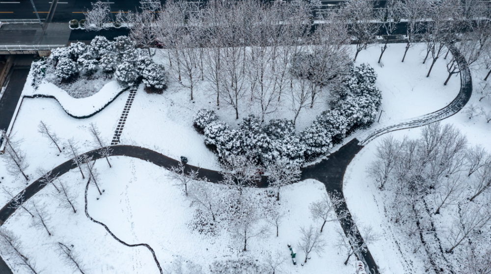 瑞雪兆丰年郑州雪景这边独好