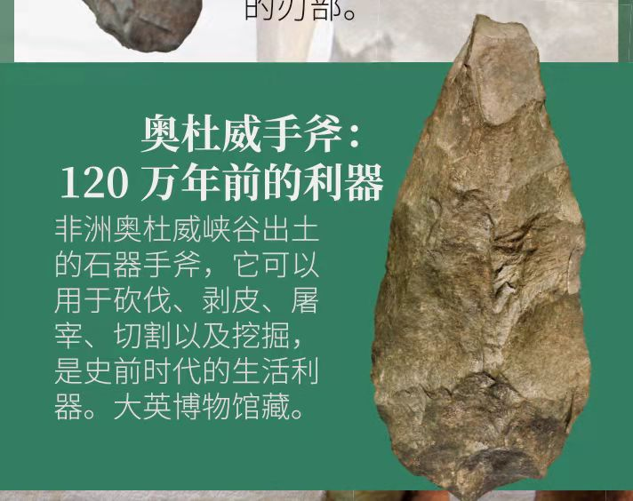这件来自大英博物馆的奥杜威手斧(石器),是旧石器时代的生活利器,见证