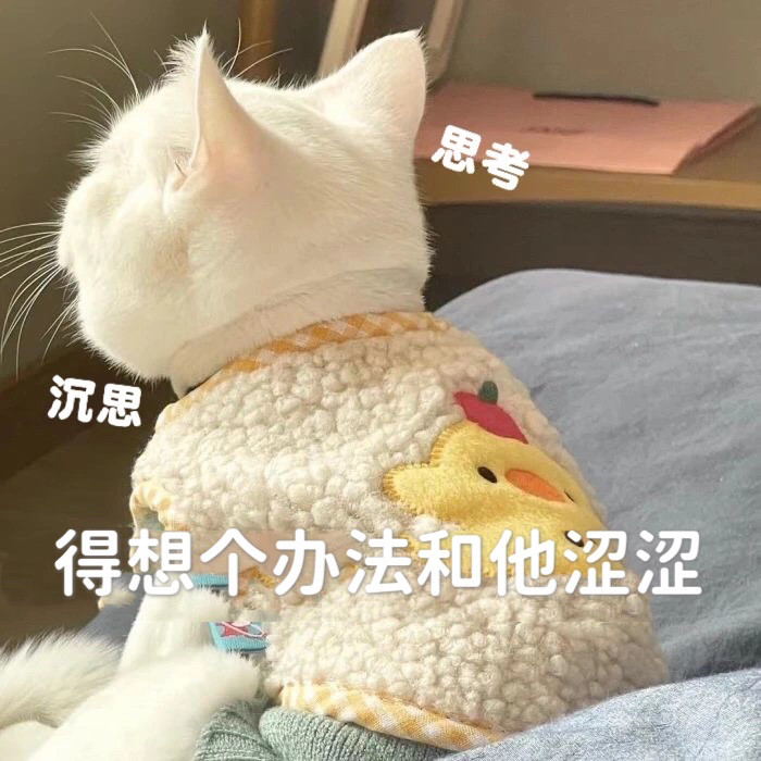 猫猫表情包谁会拒绝一只瑟瑟的猫咪呢