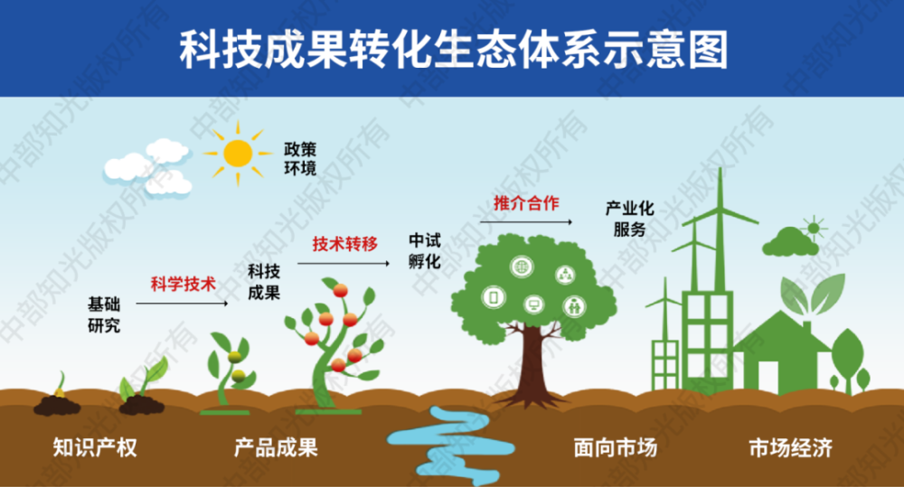 向市葵第五届高校知识产权运营与成果转化线上研讨会