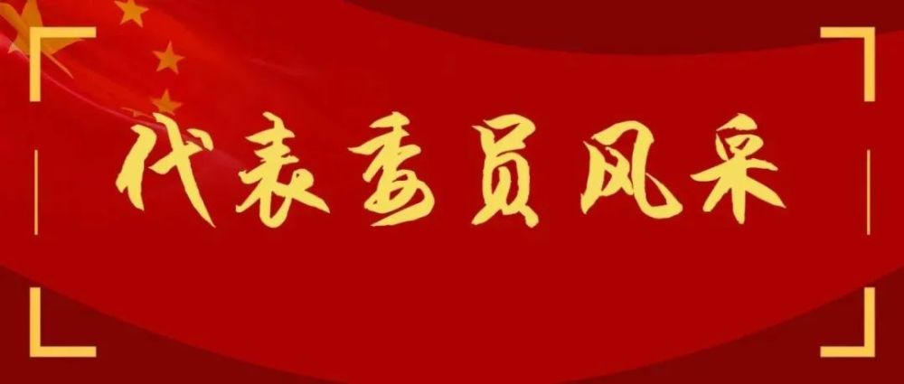 初心如磐担使命履职尽责勇担当—记区政协委员刘屏作为一名政协委员