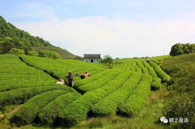 《四明谈助》记载说,"山中往往出蜃,当其怪水骤发,声若闷雷,惊涛骇浪