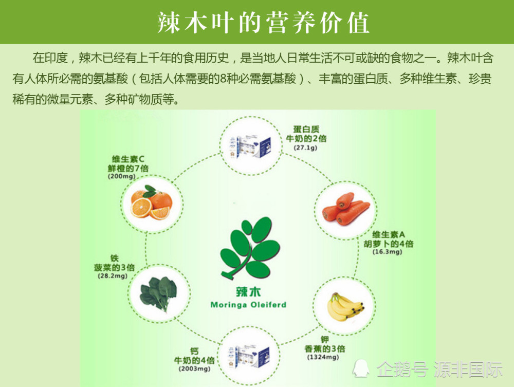 辣木叶片营养丰富而全面,富含植物蛋白,维生素,叶酸