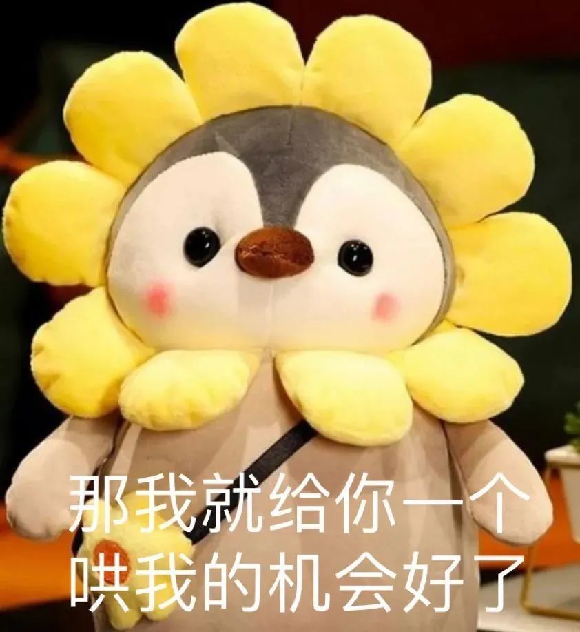 表情包丨给你一个哄我的机会