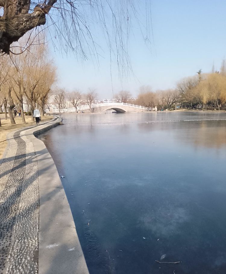 七绝 石桥冬林(中华新韵)月湖宁静岸垂柳,横卧石桥锁细流.