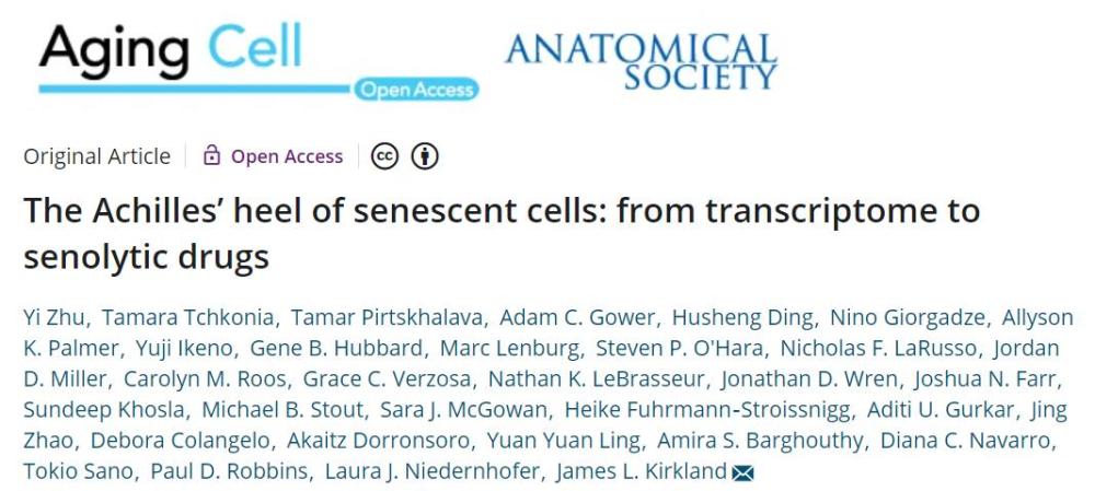 senescent, 最新研究发现的这种生物标志物有助于人类对抗衰老