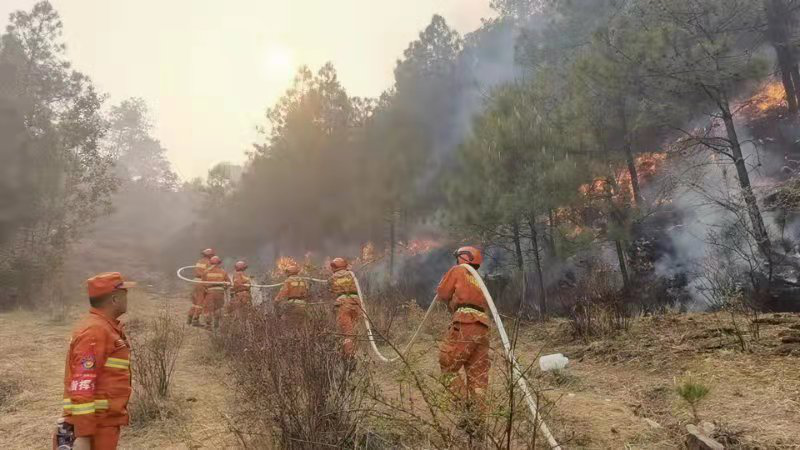 放火烧山牢底坐穿丽江一男子纵火烧山泄私愤换来无期徒刑