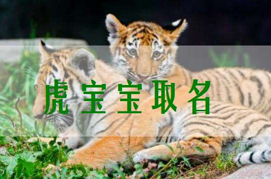 晏平起名宝宝起名虎宝宝小名叫什么好听