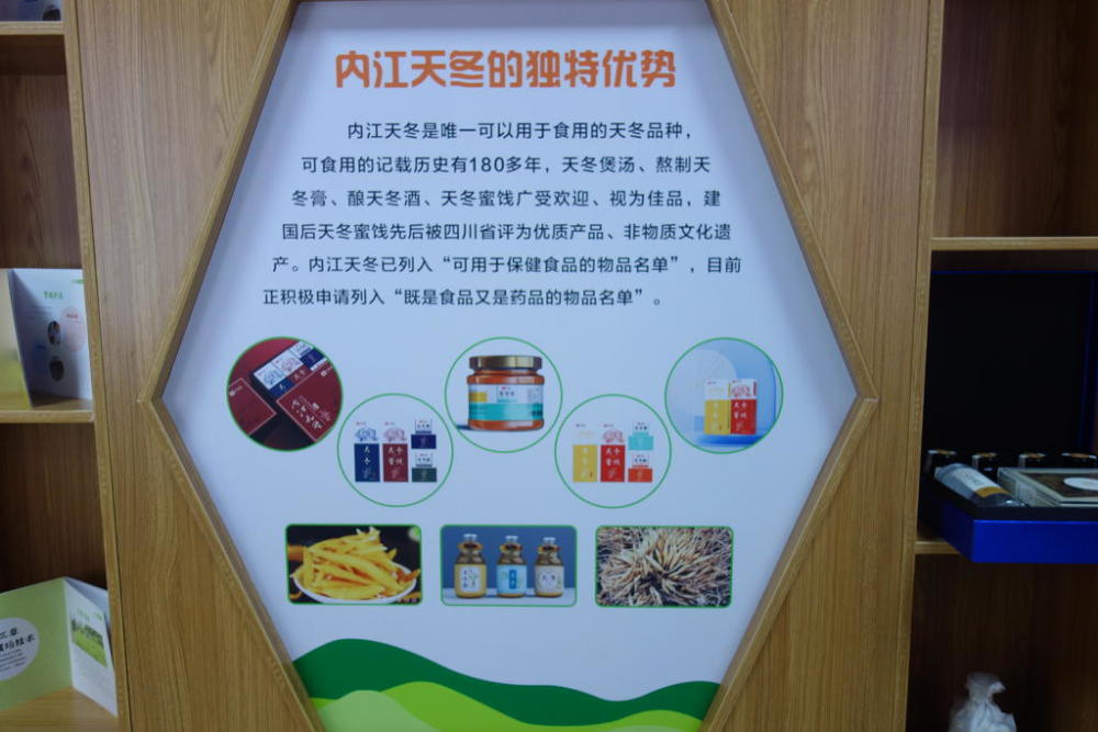 中国天冬之乡内江市东兴革命老区青台村巩固脱贫成果发展天冬特色产业