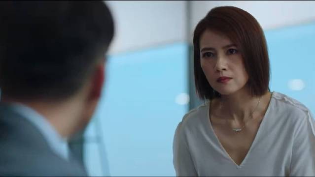 《完美伴侣》电视剧在线看