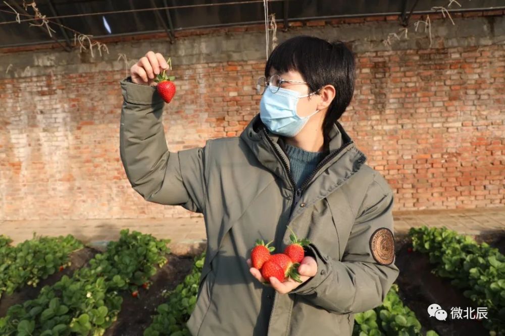 好甜啊快到双街摘下新年的第一颗草莓吧