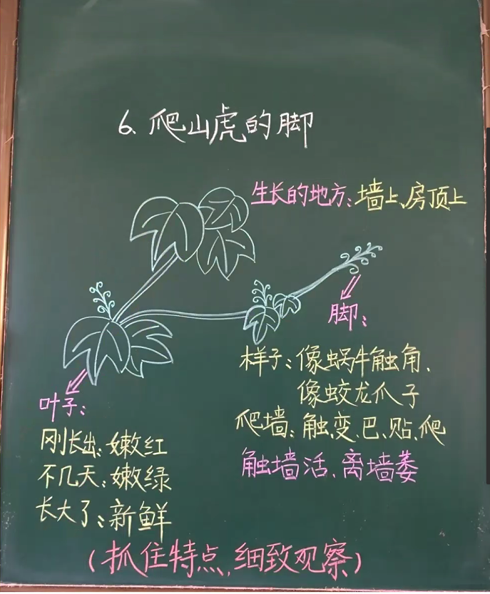 教师资格证面试板书设计