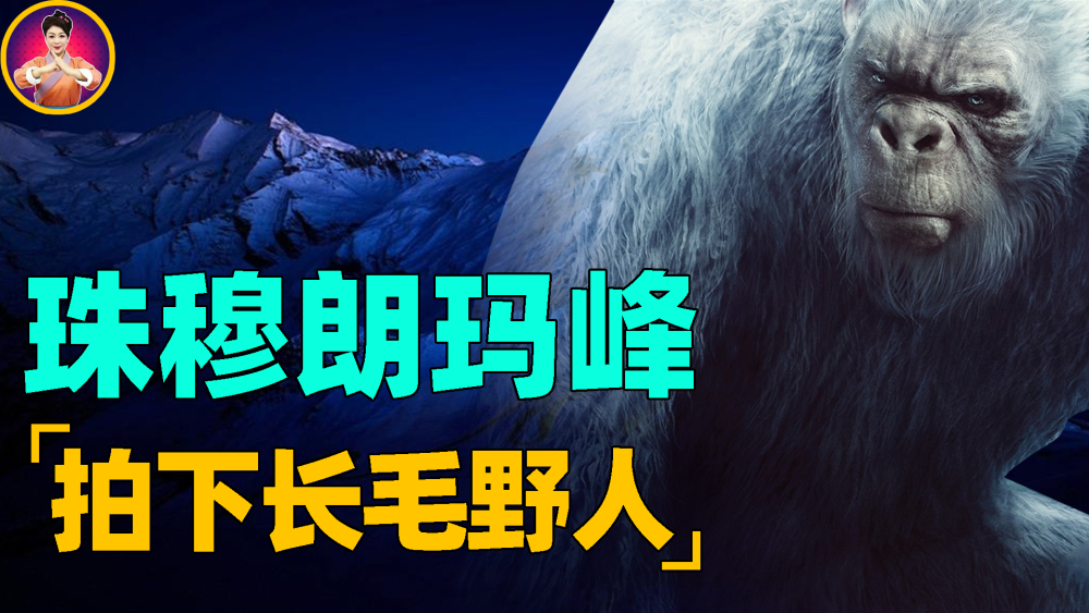 喜马拉雅山里惊现雪人2004年4月,一支登山队出发前往珠穆朗玛峰进行