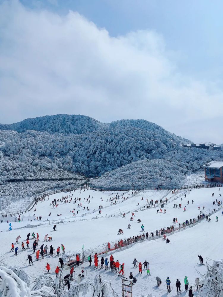 强烈推荐去金佛山西坡耍雪,这里有个2万多平方米的超大滑雪场,适合