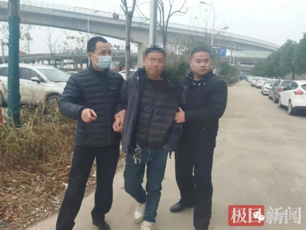 张某被新洲警方抓获