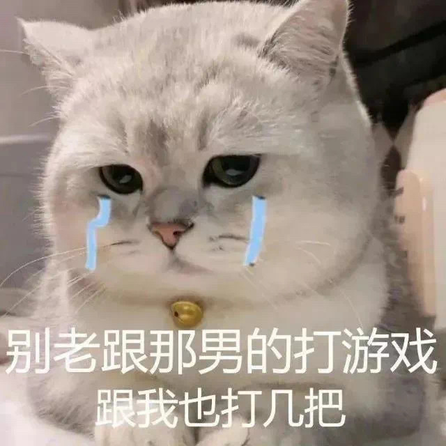 打游戏专属表情包宝和你双排像坐牢