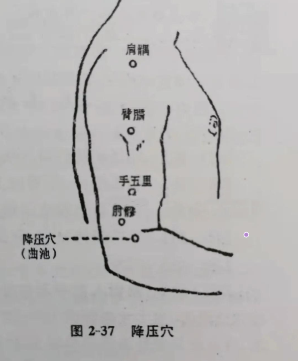 【位置】 相当于传统腧穴曲池穴.《针